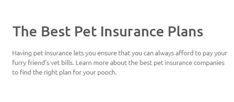 companion care pet plan.